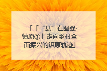 「“县”在图强·镇原③」走向乡村全面振兴的镇原轨迹