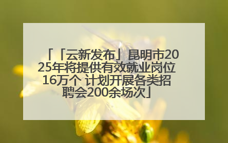 「云新发布」昆明市2025年将提供有效就业岗位16万个 计划开展各类招聘会200余场次