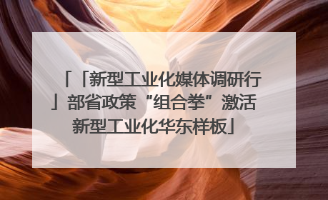 「新型工业化媒体调研行」部省政策“组合拳”激活新型工业化华东样板