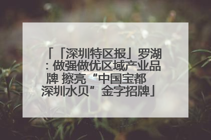 「深圳特区报」罗湖：做强做优区域产业品牌 擦亮“中国宝都 深圳水贝”金字招牌