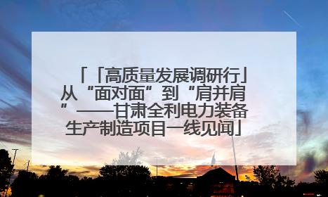 「高质量发展调研行」从“面对面”到“肩并肩”——甘肃全利电力装备生产制造项目一线见闻