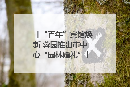 “百年”宾馆焕新 蓉园推出市中心“园林婚礼”