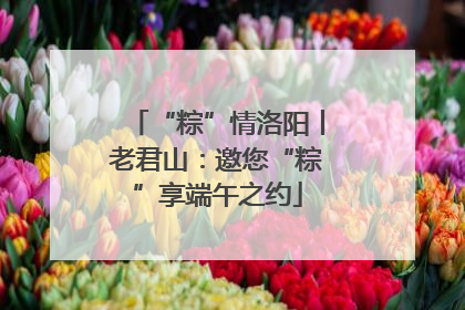 “粽”情洛阳丨老君山：邀您“粽”享端午之约