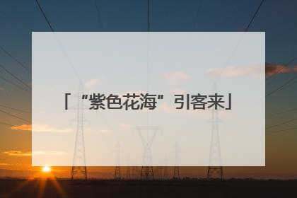 “紫色花海”引客来