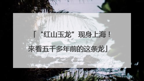 “红山玉龙”现身上海！来看五千多年前的这条龙