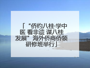 “侨约八桂·学中医 看非遗 谋八桂发展”海外侨商侨领研修班举行