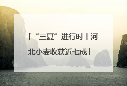 “三夏”进行时丨河北小麦收获近七成