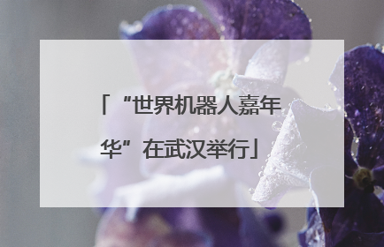 “世界机器人嘉年华”在武汉举行