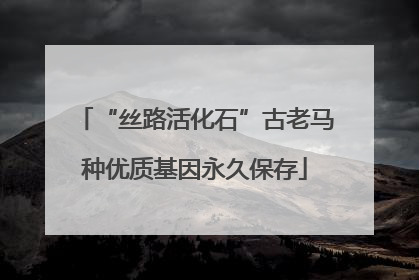 “丝路活化石”古老马种优质基因永久保存