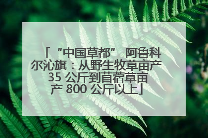 “中国草都” 阿鲁科尔沁旗：从野生牧草亩产 35 公斤到苜蓿草亩产 800 公斤以上