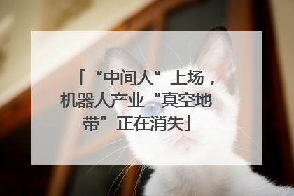 “中间人”上场，机器人产业“真空地带”正在消失