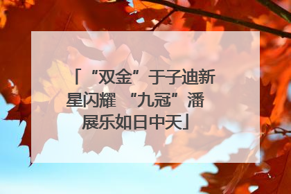 “双金”于子迪新星闪耀 “九冠”潘展乐如日中天