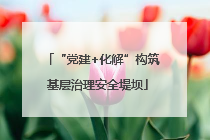 “党建+化解”构筑基层治理安全堤坝