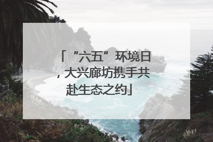 “六五”环境日，大兴廊坊携手共赴生态之约