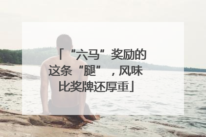 “六马”奖励的这条“腿”，风味比奖牌还厚重