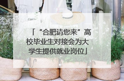 “合肥请您来”高校毕业生对接会为大学生提供就业岗位