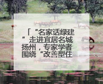 “名家话绿建”走进宜居名城扬州，专家学者围绕“改善型住宅”各抒己见贡献智慧