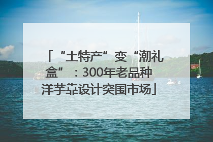 “土特产”变“潮礼盒”：300年老品种洋芋靠设计突围市场