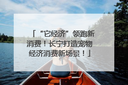 “它经济”领跑新消费！长宁打造宠物经济消费新场景！