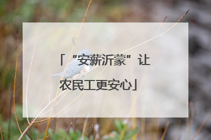 “安薪沂蒙”让农民工更安心