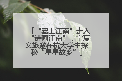 “塞上江南”走入“诗画江南”，宁夏文旅邀在杭大学生探秘“星星故乡”