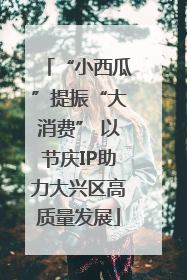 “小西瓜”提振“大消费” 以节庆IP助力大兴区高质量发展
