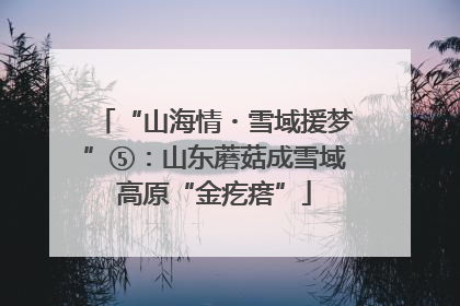 “山海情・雪域援梦”⑤：山东蘑菇成雪域高原“金疙瘩”