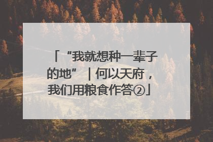 “我就想种一辈子的地”｜何以天府，我们用粮食作答②