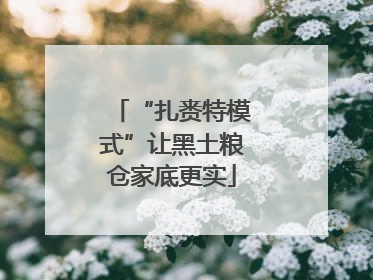 “扎赉特模式”让黑土粮仓家底更实