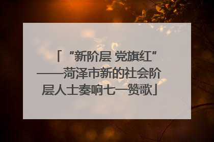 “新阶层 党旗红”——菏泽市新的社会阶层人士奏响七一赞歌