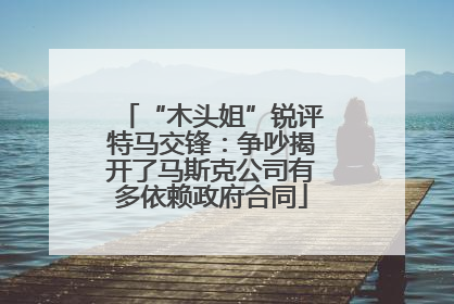 “木头姐”锐评特马交锋：争吵揭开了马斯克公司有多依赖政府合同