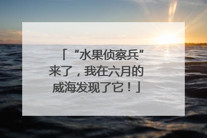 “水果侦察兵”来了，我在六月的威海发现了它！