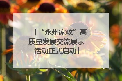 “永州家政”高质量发展交流展示活动正式启动