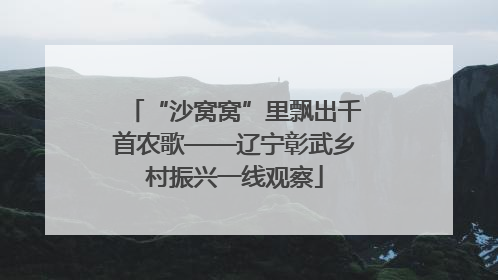 “沙窝窝”里飘出千首农歌——辽宁彰武乡村振兴一线观察