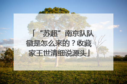 “苏超”南京队队徽是怎么来的？收藏家王世清细说源头