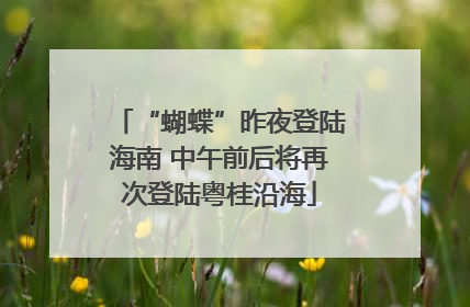 “蝴蝶”昨夜登陆海南 中午前后将再次登陆粤桂沿海