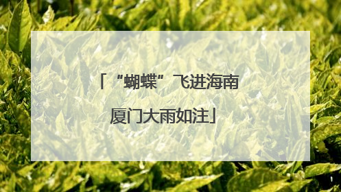 “蝴蝶”飞进海南 厦门大雨如注