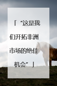 “这是我们开拓非洲市场的绝佳机会”