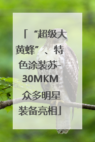 “超级大黄蜂”、特色涂装苏-30MKM 众多明星装备亮相