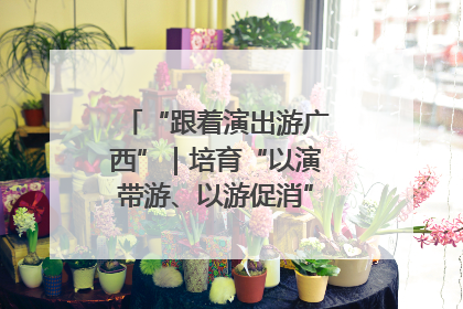 “跟着演出游广西”｜培育“以演带游、以游促消”文旅消费新生态
