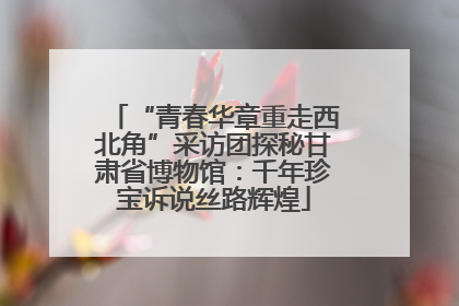“青春华章重走西北角”采访团探秘甘肃省博物馆：千年珍宝诉说丝路辉煌