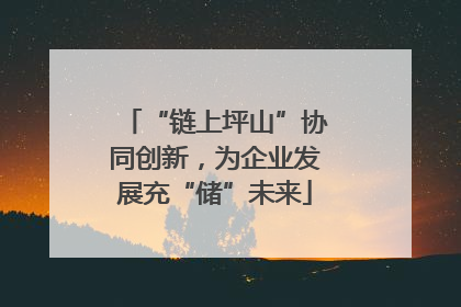 “链上坪山”协同创新，为企业发展充“储”未来