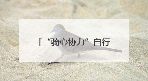 “骑心协力”自行车骑行活动启幕