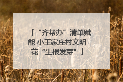 “齐帮办”清单赋能 小王家庄村文明花“生根发芽”