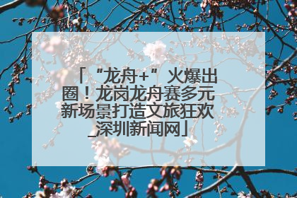 “龙舟+”火爆出圈！龙岗龙舟赛多元新场景打造文旅狂欢_深圳新闻网