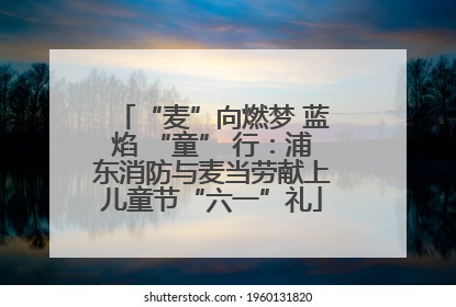 “麦”向燃梦 蓝焰 “童” 行：浦东消防与麦当劳献上儿童节“六一”礼