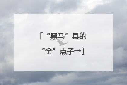 “黑马”县的“金”点子→