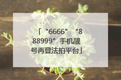 “6666”“888999”手机靓号再登法拍平台