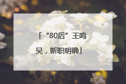 “80后”王鸣昊，新职明确