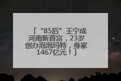 “85后”王宁成河南新首富，23岁创办泡泡玛特，身家1467亿元！